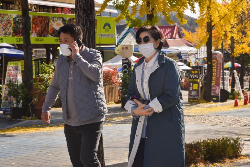 의회운영위원회 용문산 관광단지 및 용문사 현장방문_7