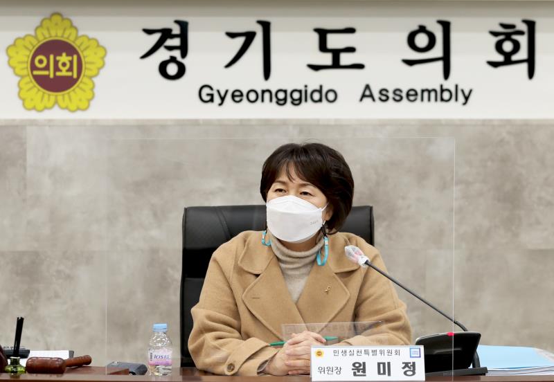 경기도의회 더불어민주당 특별민생실천위원회 회의_6