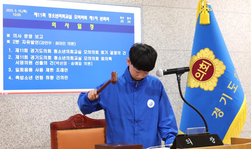 사진자료