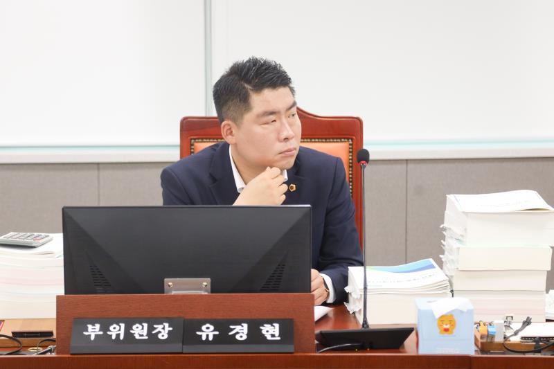 제384회 임시회 제2차 안전행정위원회_6