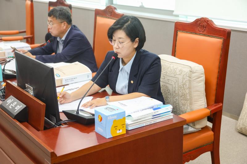 제386회 임시회 제1차 안전행정위원회_6