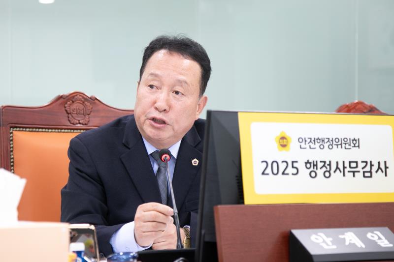 제387회 정례회 제5차 안전행정위원회 행정사무감사_3
