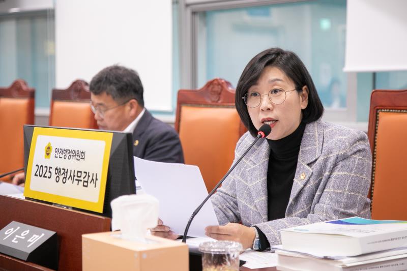 제387회 정례회 제6차 안전행정위원회 행정사무감사_5