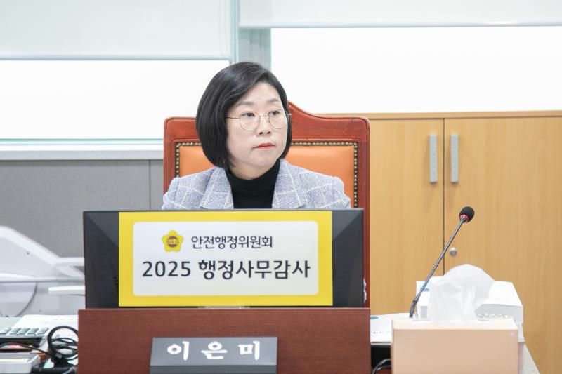 제387회 정례회 제6차 안전행정위원회 행정사무감사_2