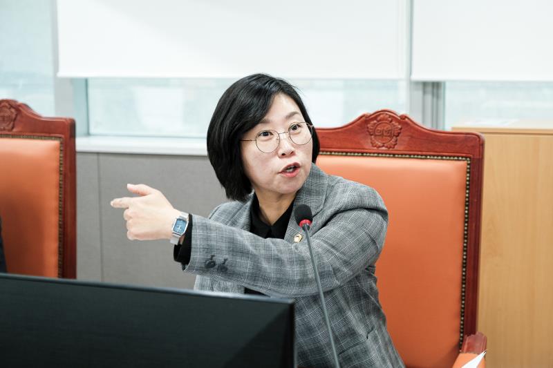 제387회 정례회 제2차 안전행정위원회_9