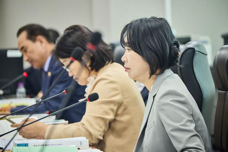 제389회 임시회 제1차 경기도청 예산결산특별위원회_2