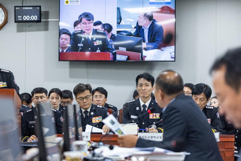 제391회 정례회 제2차 안전행정위원회_9