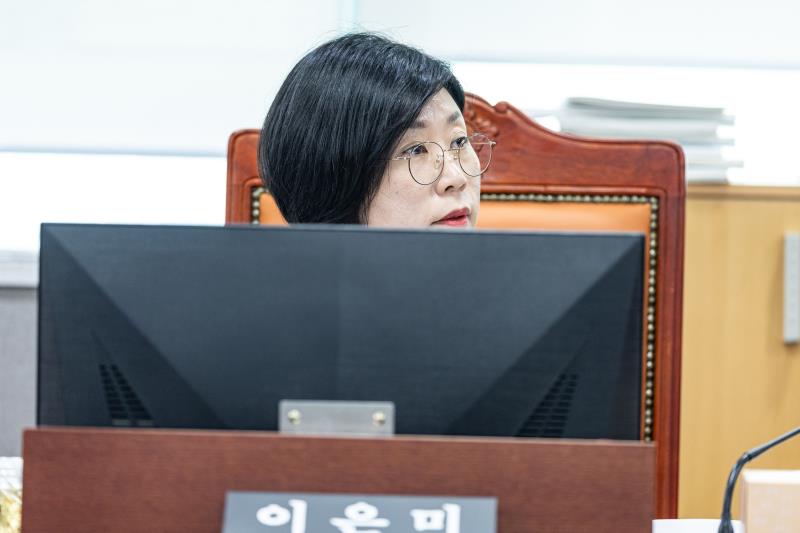 제391회 정례회 제2차 안전행정위원회_4