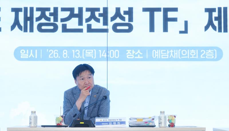 더불어 민주당 경기도 재정건정성 TF 제3차 회의_9