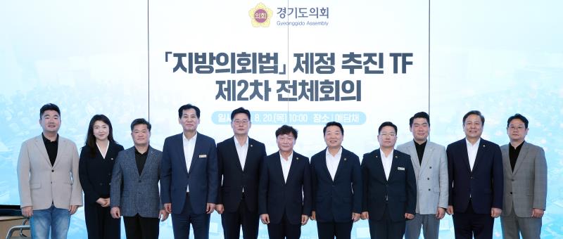 지방의회법 제정 추진 TF 제2차 전체회의_3