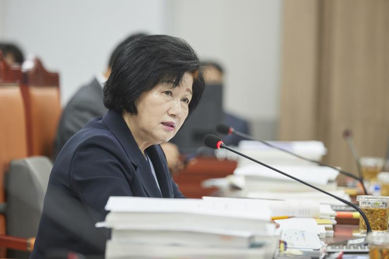 제393회 임시회 제2차 안전행정위원회_9