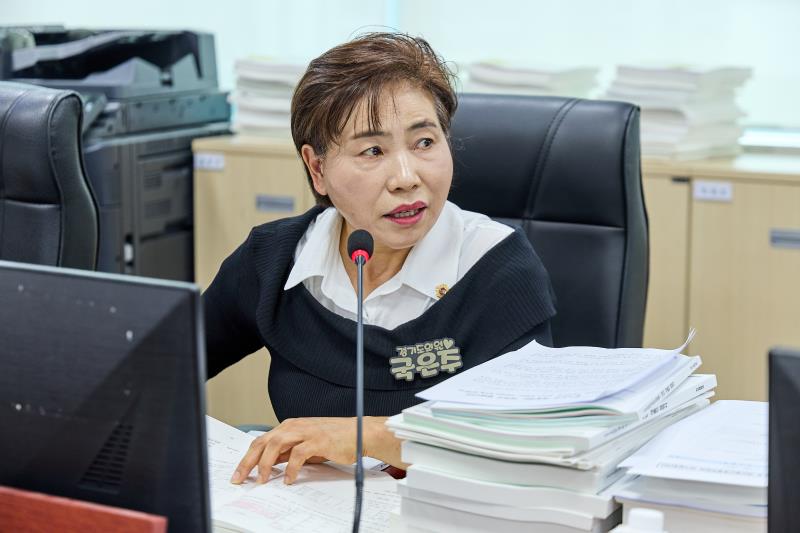 제393회 임시회 제2차 경기도청 예산결산특별위원회_9