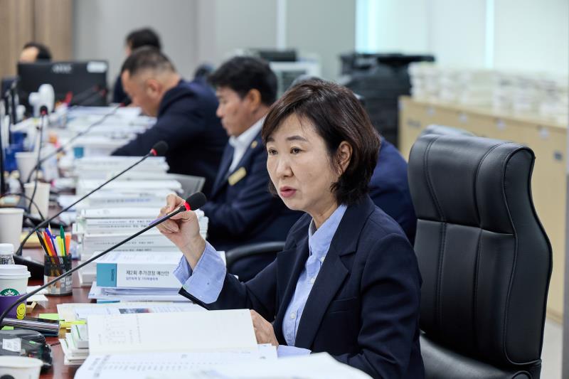 제393회 임시회 제2차 경기도청 예산결산특별위원회_6