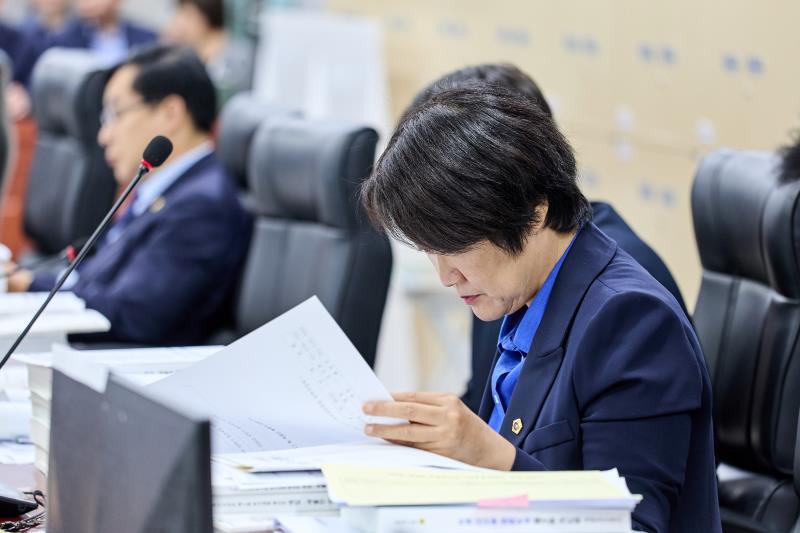 제393회 임시회 제3차 경기도청 예산결산특별위원회_2