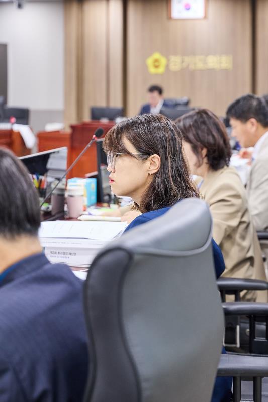 제393회 임시회 제4차 경기도청 예산결산특별위원회_3